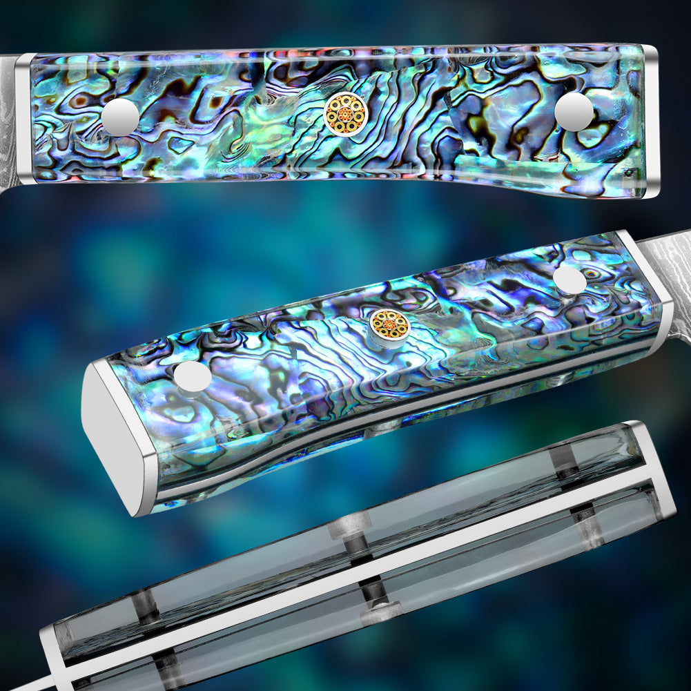 Japanese Knife 10Cr15MOV Blade with Hand Forged Hammer Pattern Chef Knife